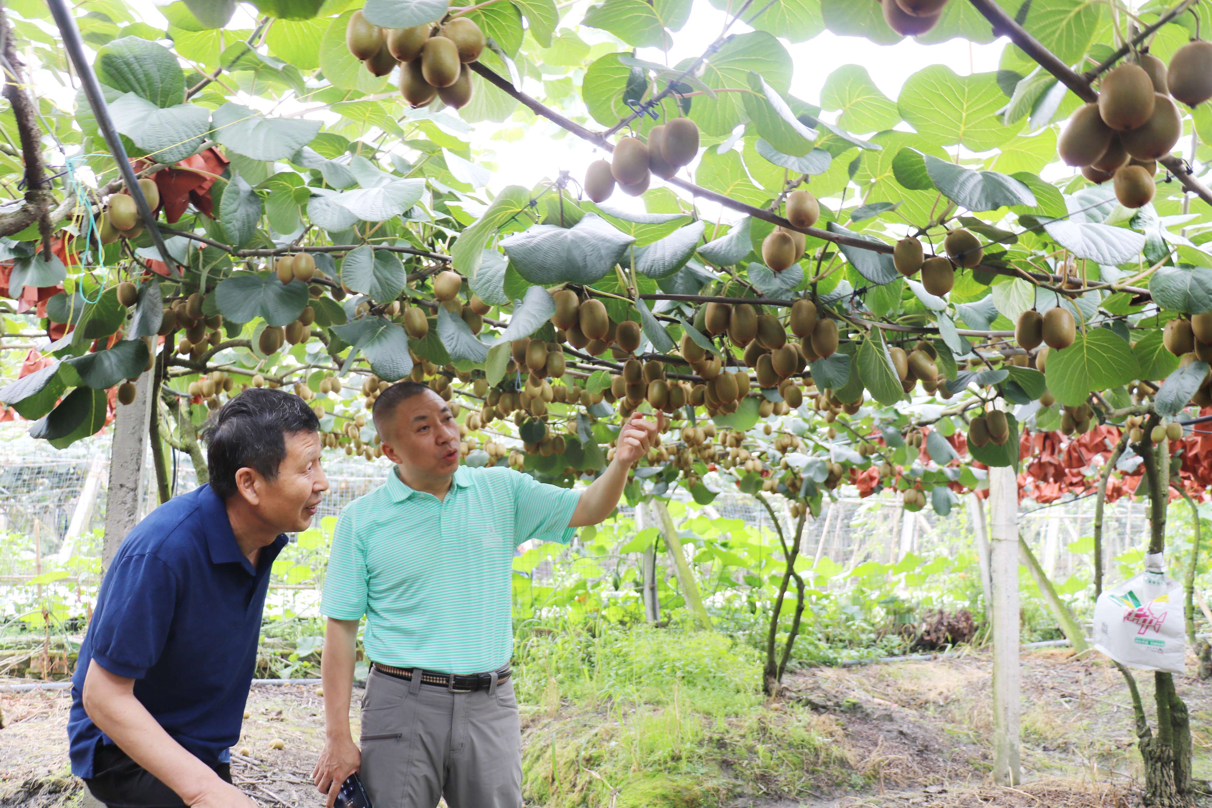 狼人无码精华av午夜精品