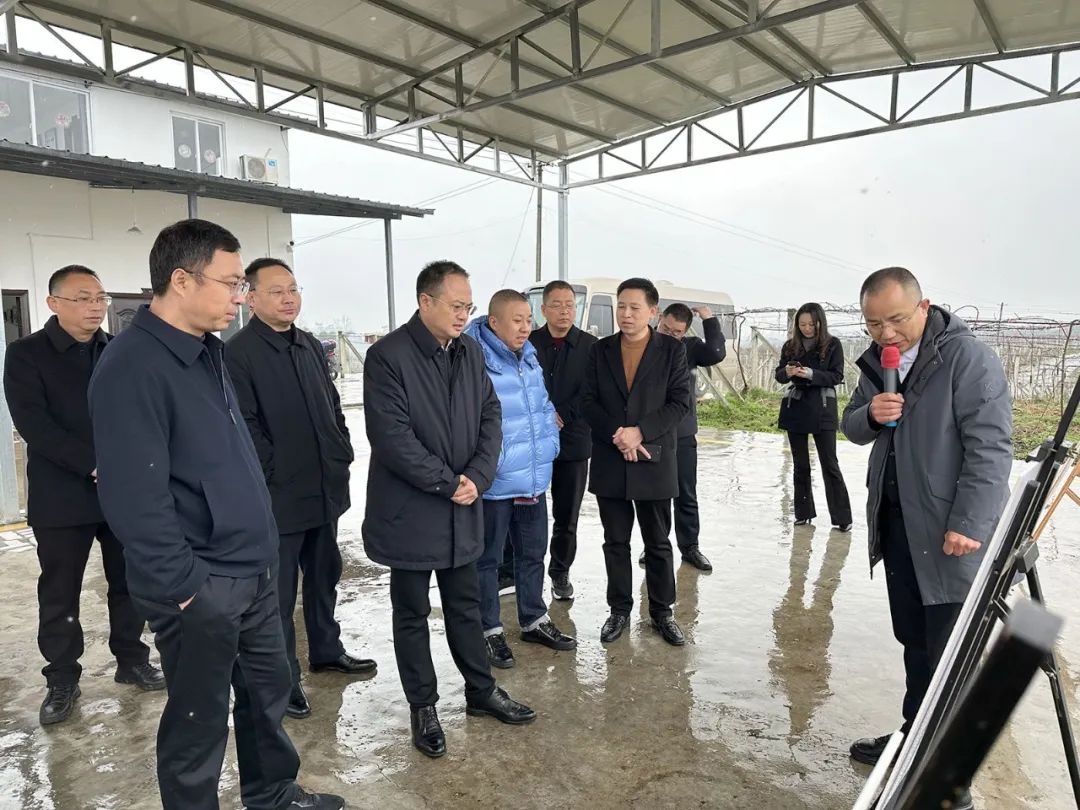 狼人无码精华av午夜精品