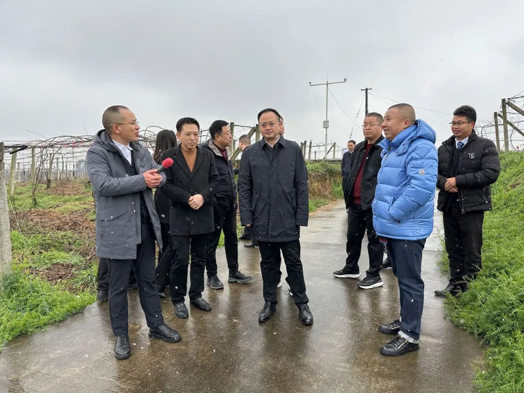 狼人无码精华av午夜精品