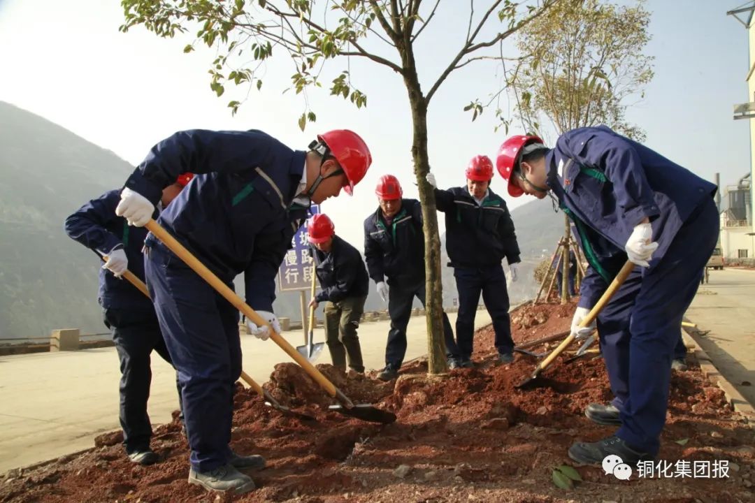 狼人无码精华av午夜精品