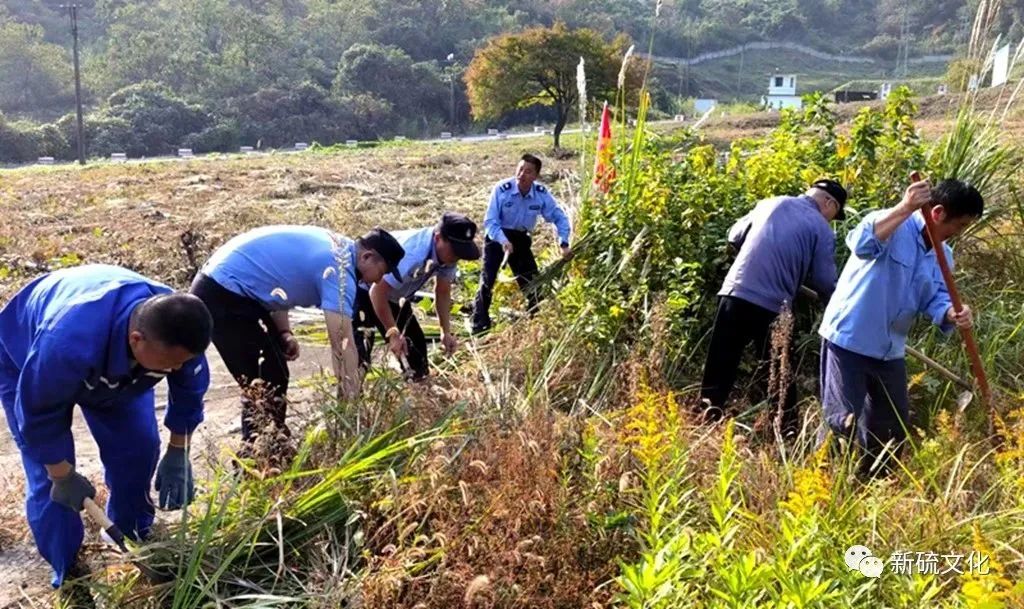 狼人无码精华av午夜精品