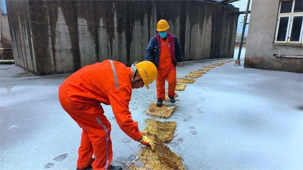 狼人无码精华av午夜精品