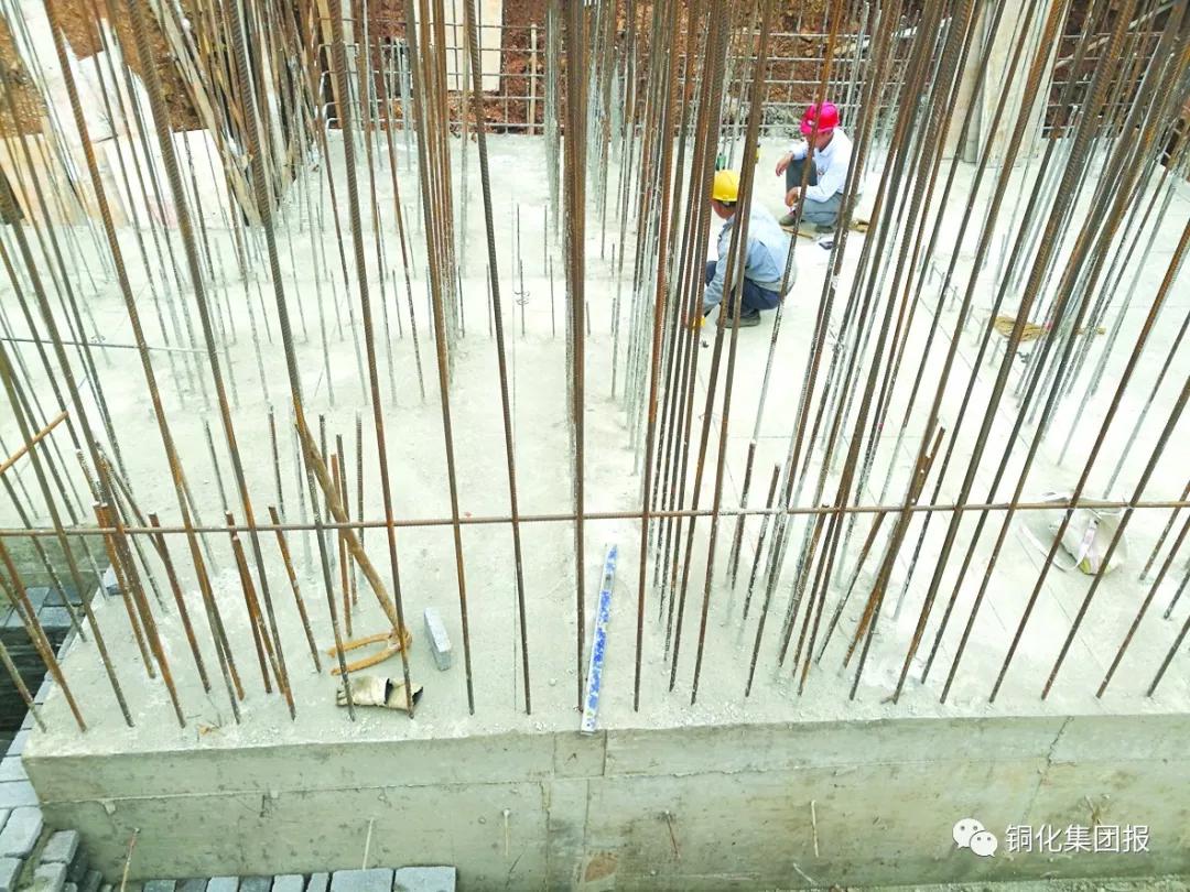 狼人无码精华av午夜精品