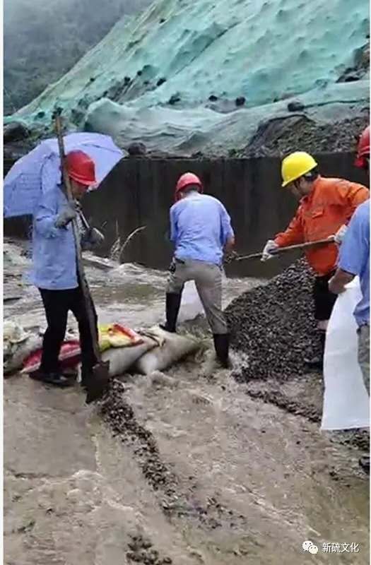 狼人无码精华av午夜精品