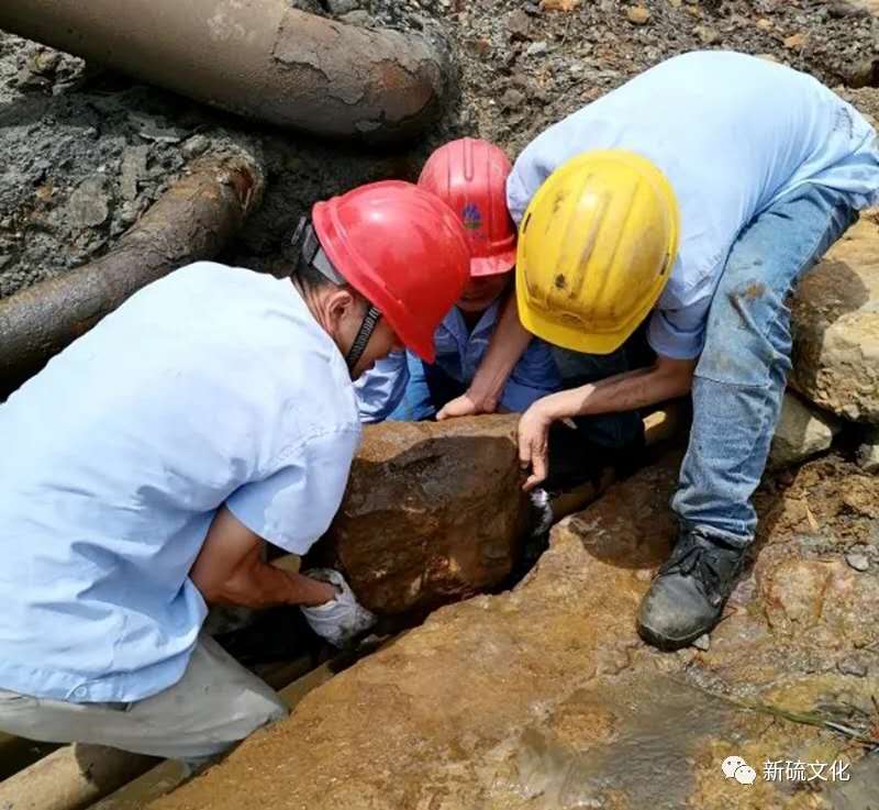 狼人无码精华av午夜精品