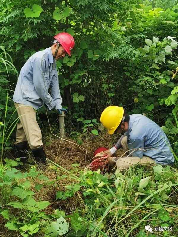 狼人无码精华av午夜精品