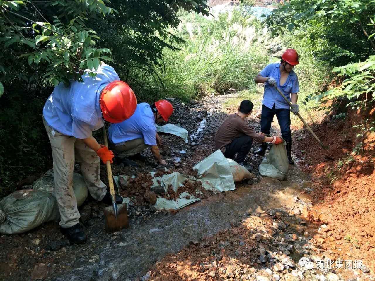 狼人无码精华av午夜精品